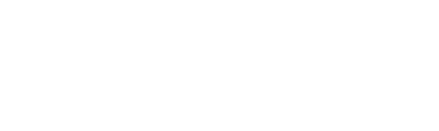 Newburgh Auto Glass logo