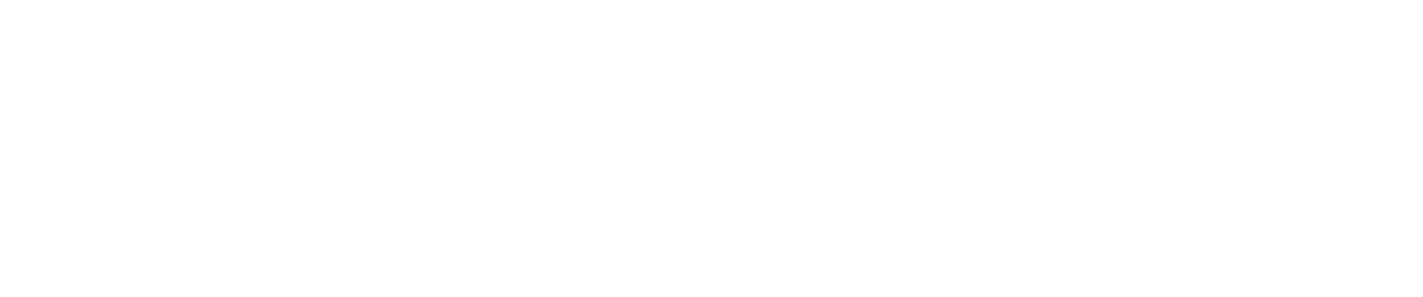 Newburgh Auto Glass logo